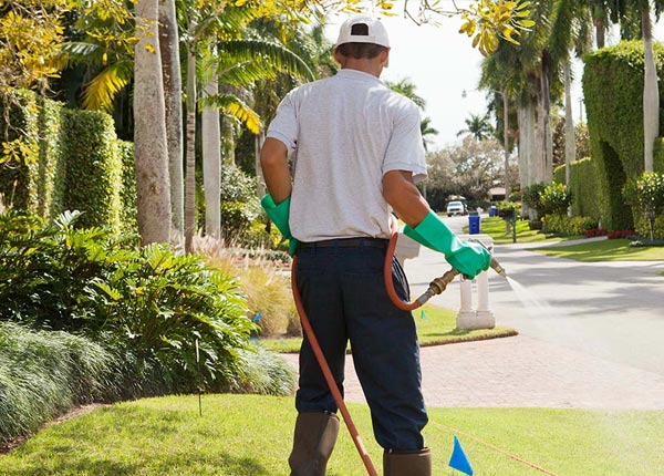 About Francisco IN Pest Control